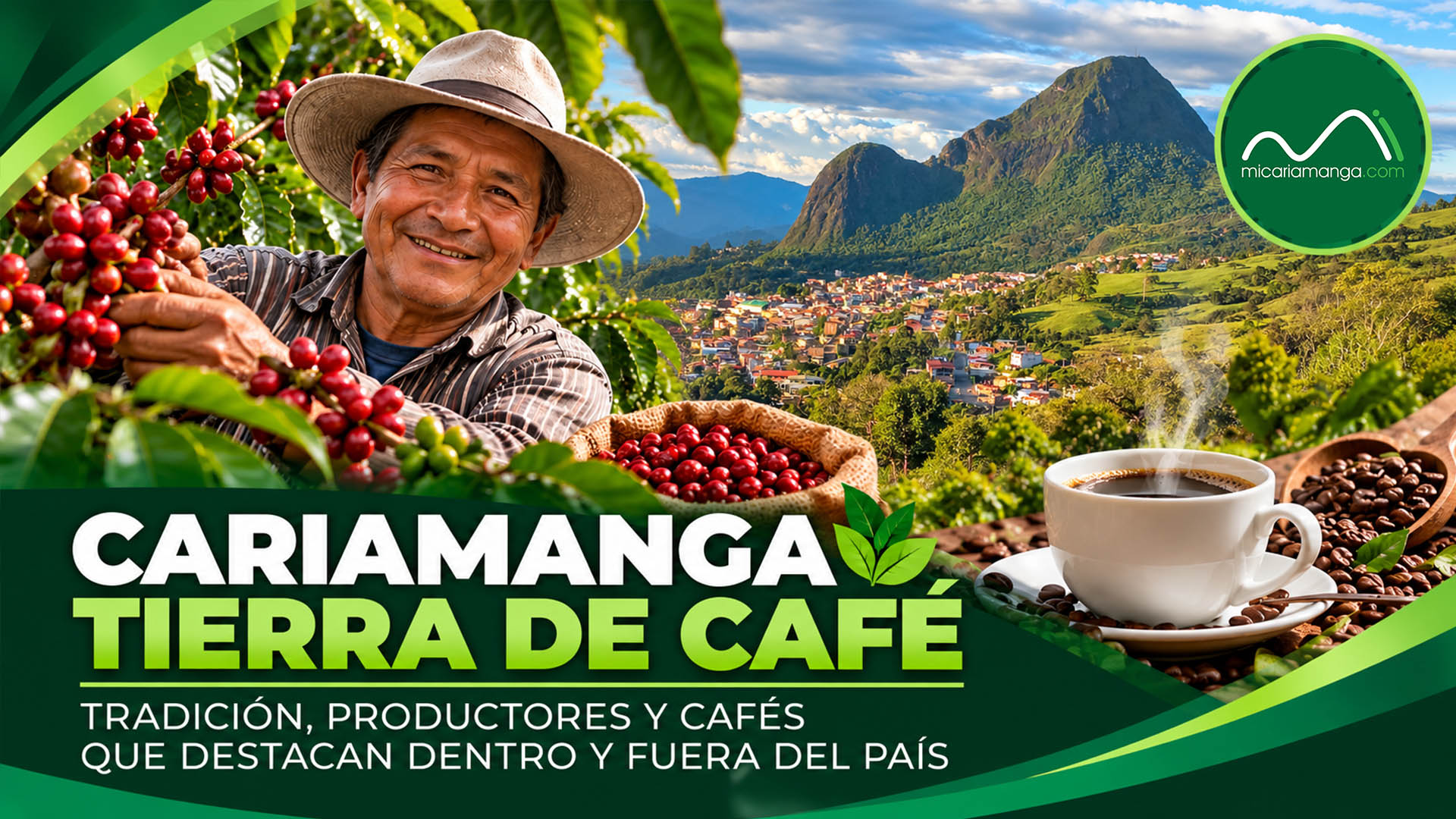 Cultivo de café en el cantón Calvas, territorio de tradición cafetalera en el sur de Loja