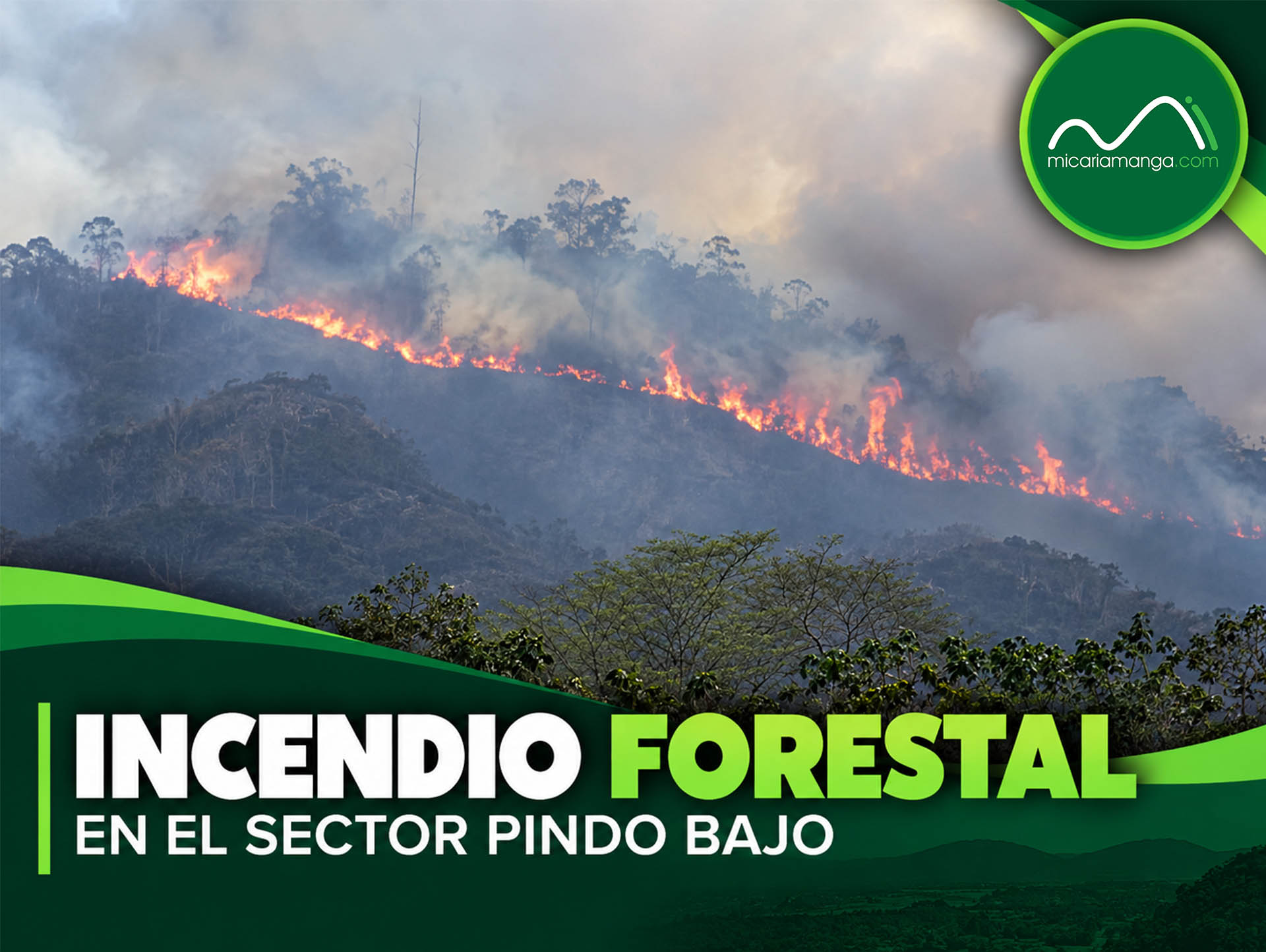 Bomberos atienden un incendio forestal reportado en el sector Pindo Bajo del cantón Calvas