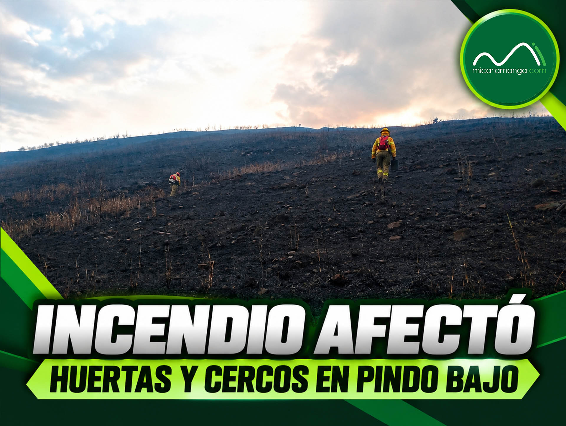 Vegetación, huertas y cercos afectados por el incendio forestal en Pindo Bajo